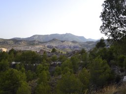 Yacimiento  Sisaya 2007